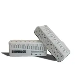 Endoblok (plastik)
