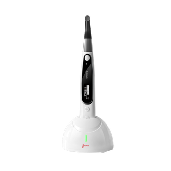 Woodpecker Endomatic Endomotor
